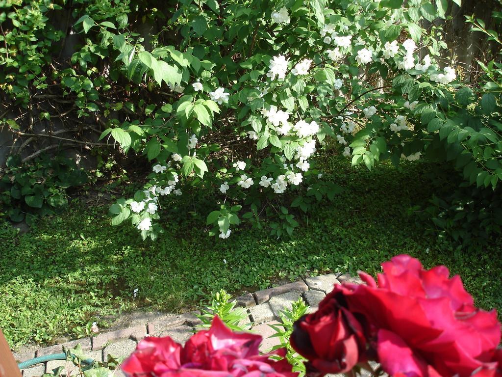 Liza Apartman Gyula Pokój zdjęcie