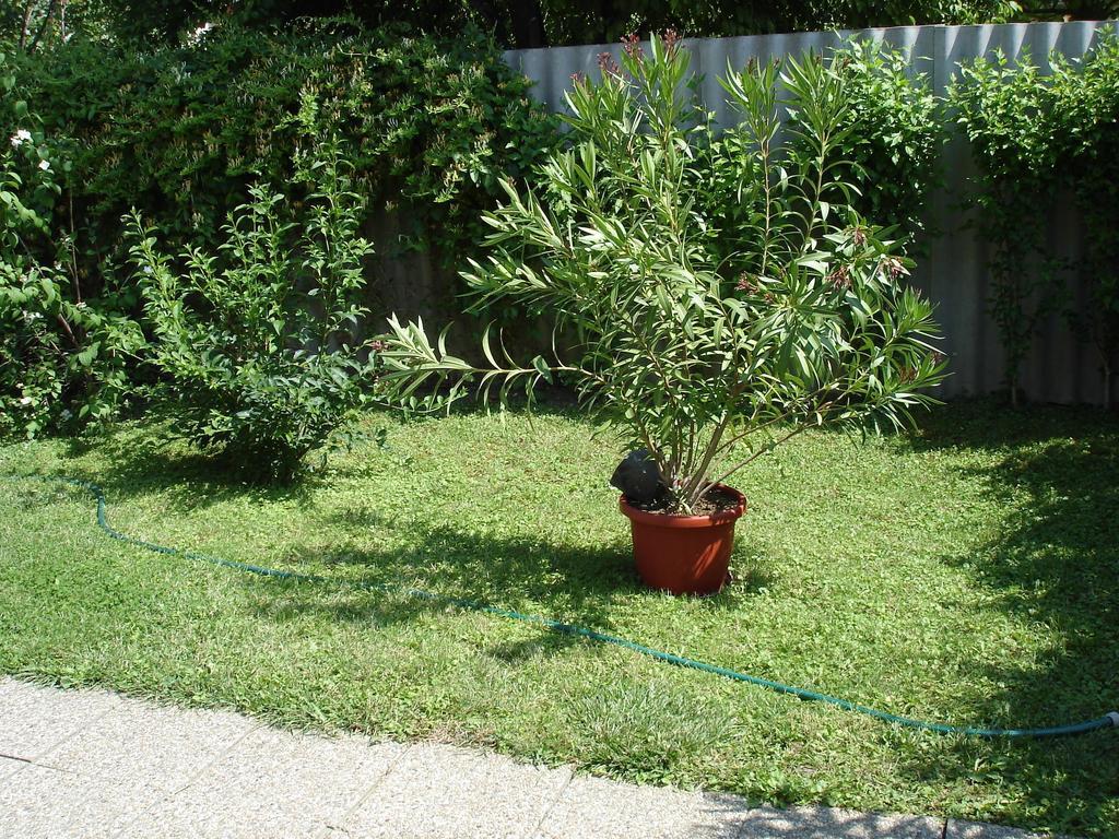 Liza Apartman Gyula Pokój zdjęcie